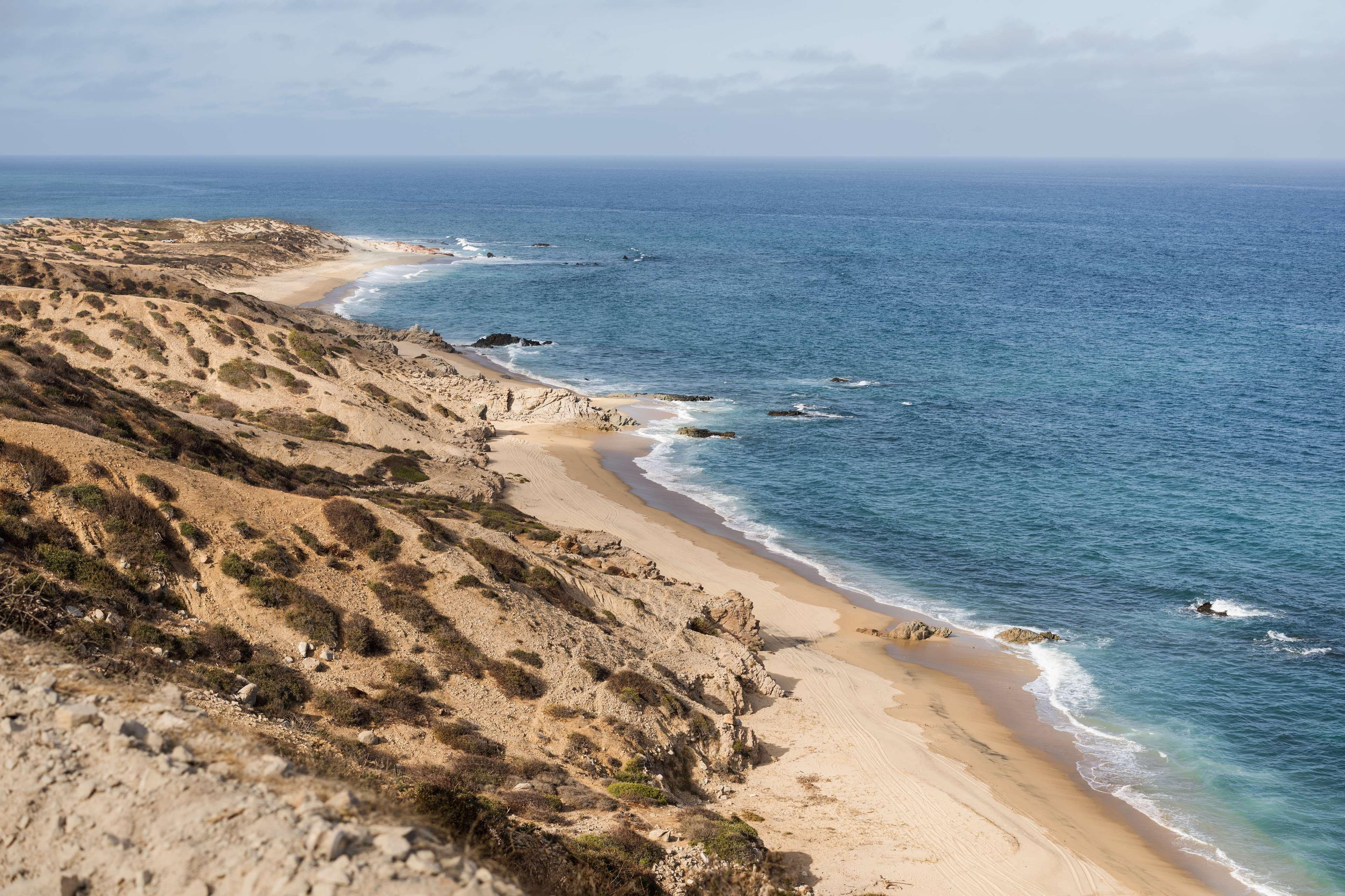 Sandee Hilton Los Cabos Beach & Golf Resort