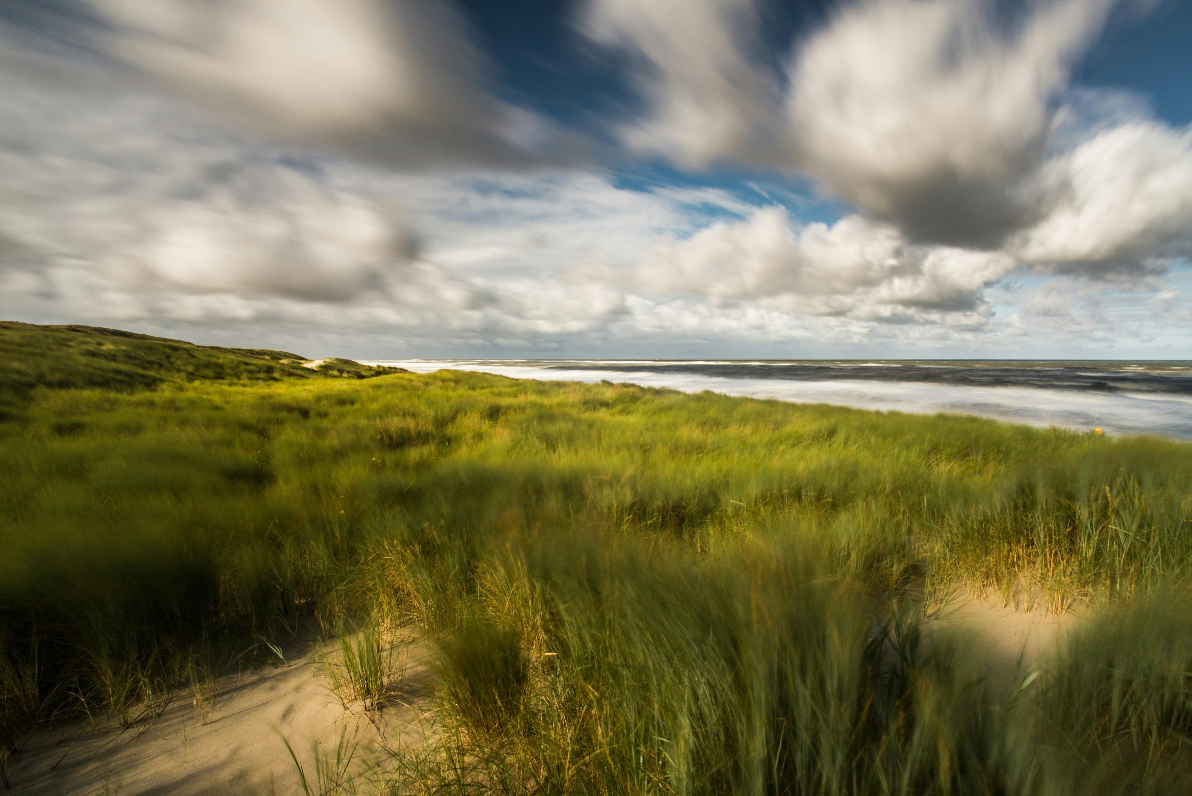 Sandee Beach Of Callantsoog, Niederlande Photo