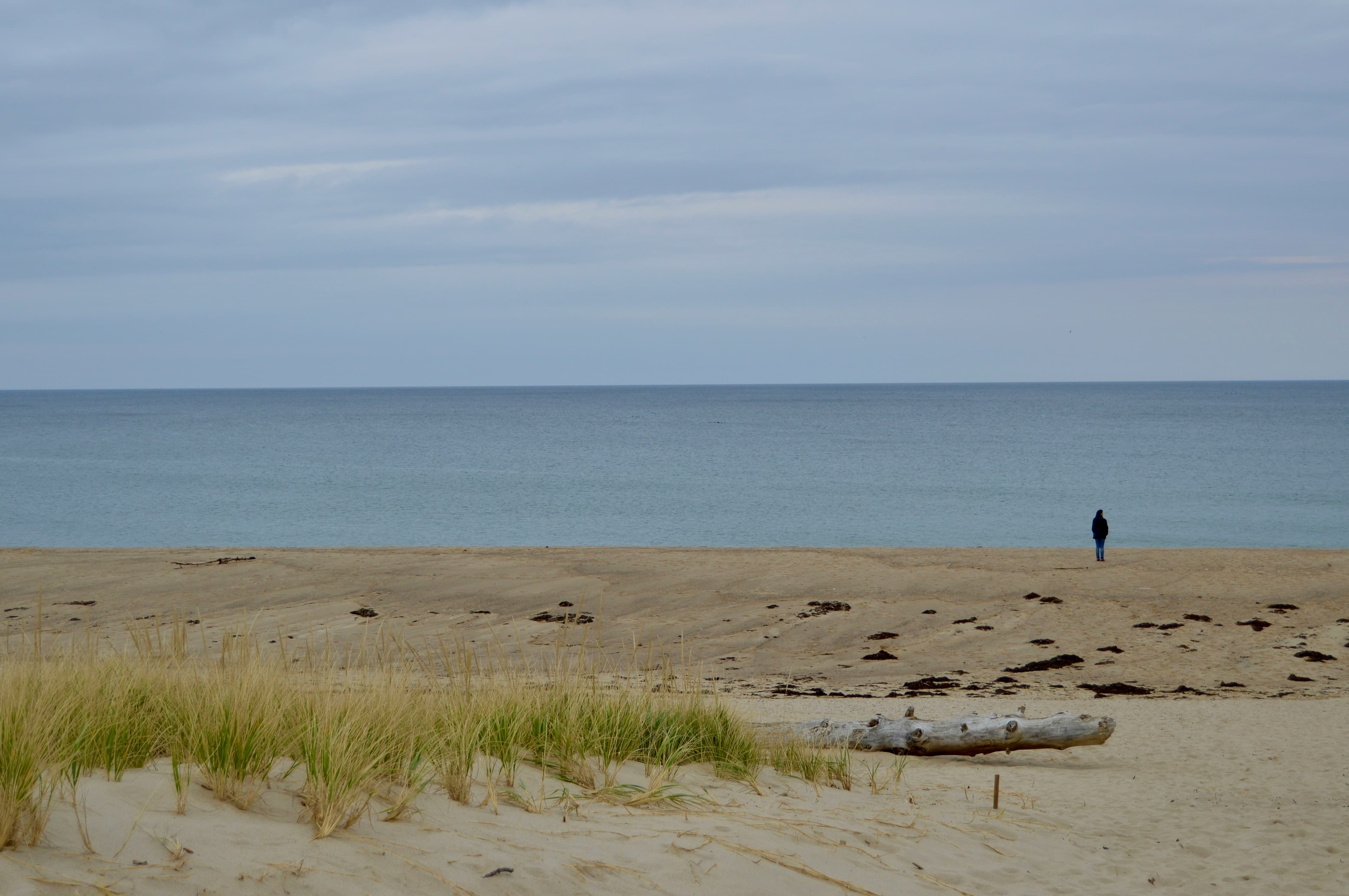 Sandee Closed Beach Photo