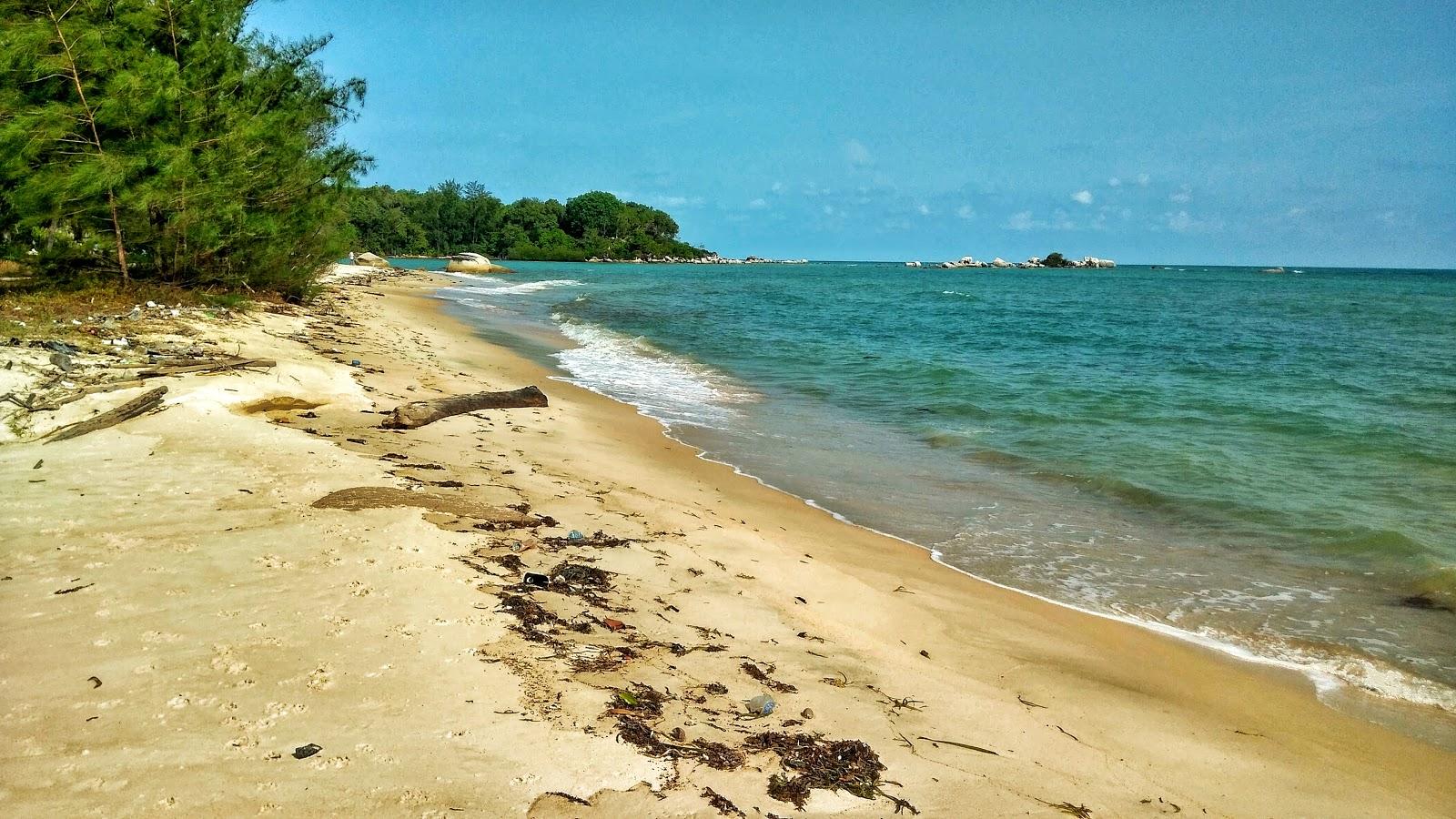 Sandee Tanjung Kemirai Beach