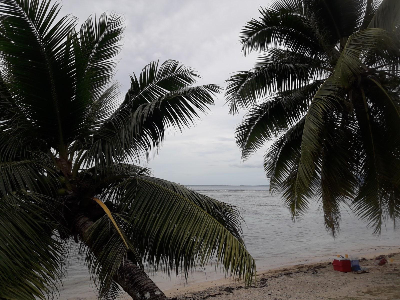 Sandee Tauhanihani Village Lodge La Vague Bleue