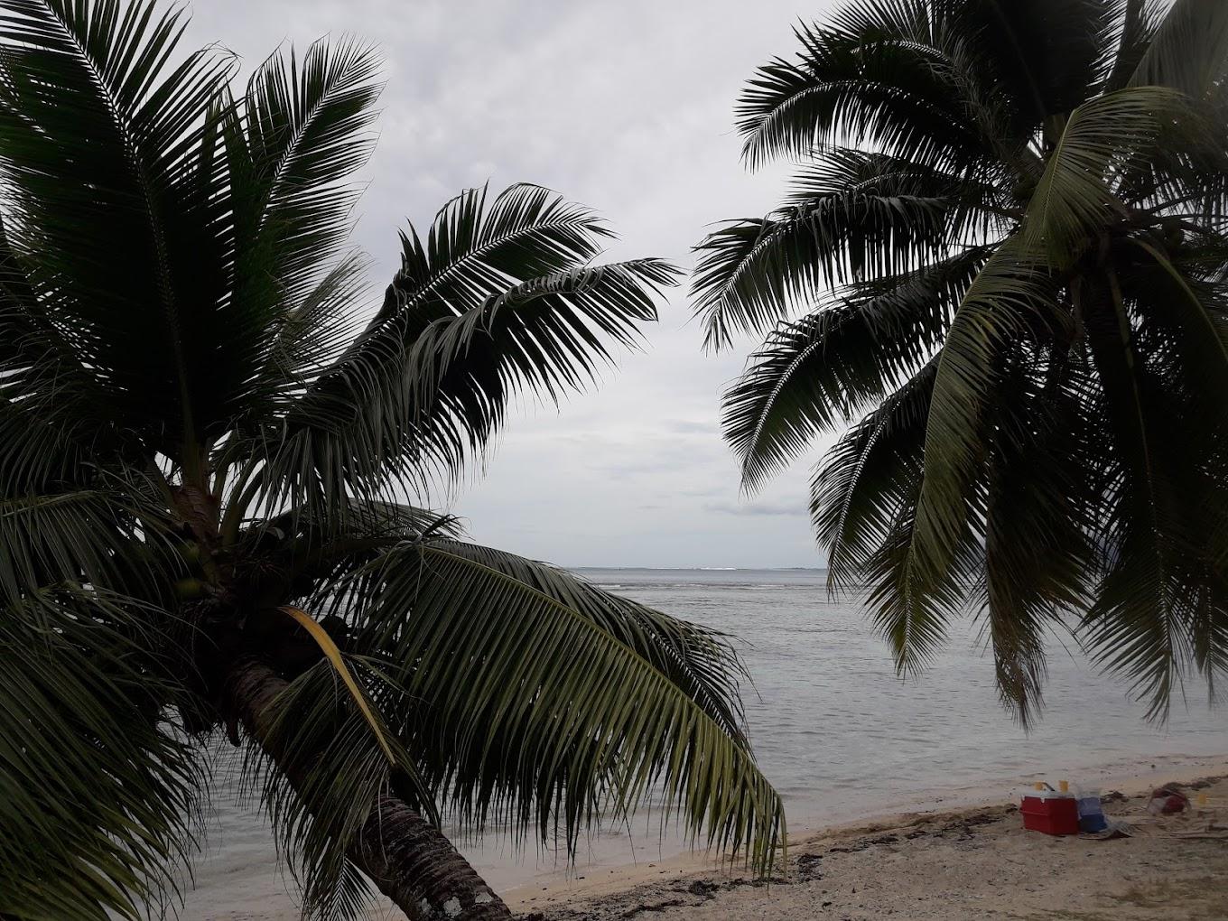 Sandee Tauhanihani Village Lodge La Vague Bleue Photo