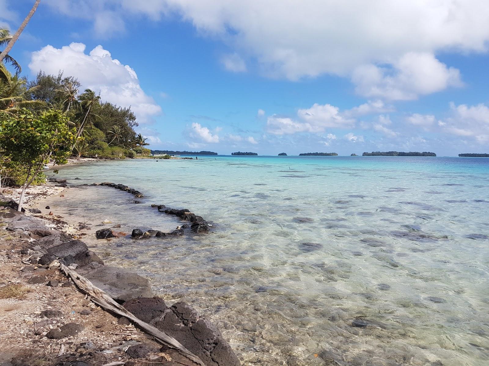 Sandee Pointe Taihi