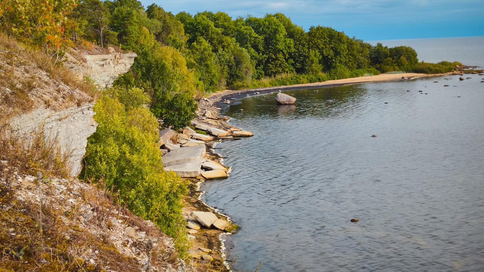 Sandee Turisalu Cliff