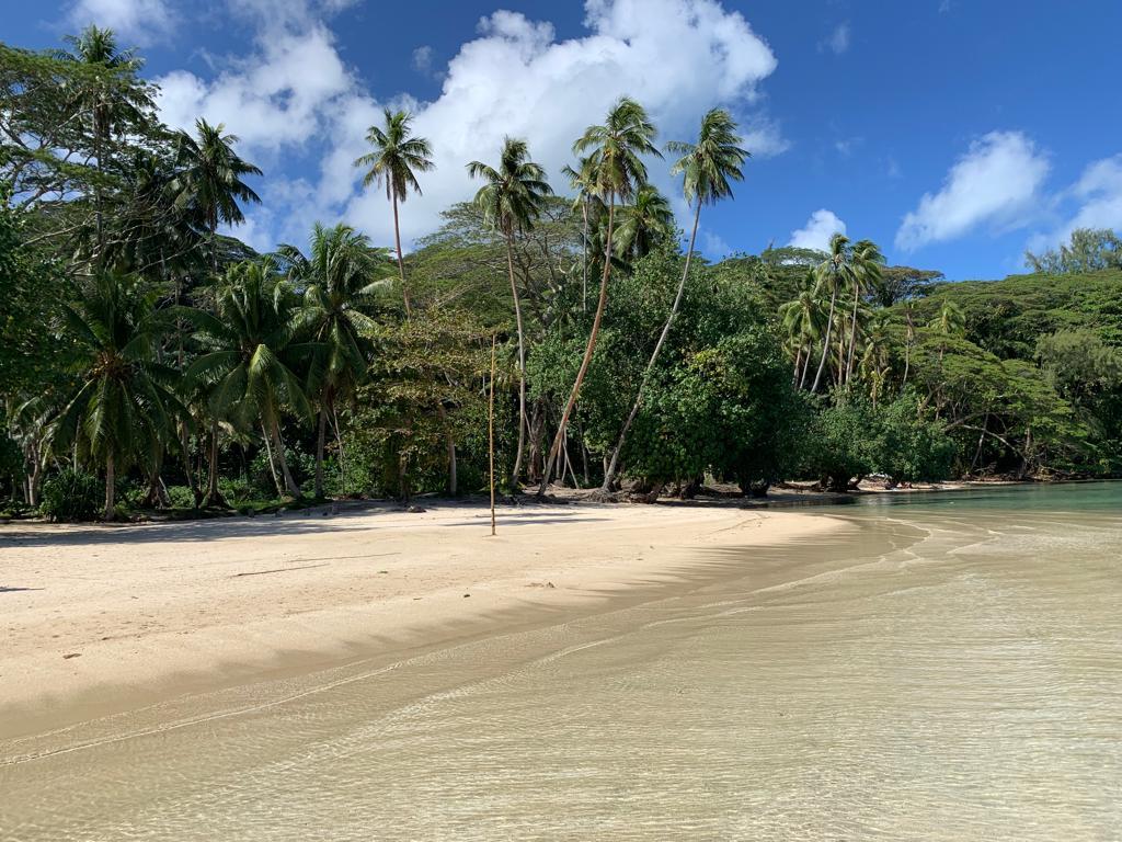 Sandee Huahine Dream Tours