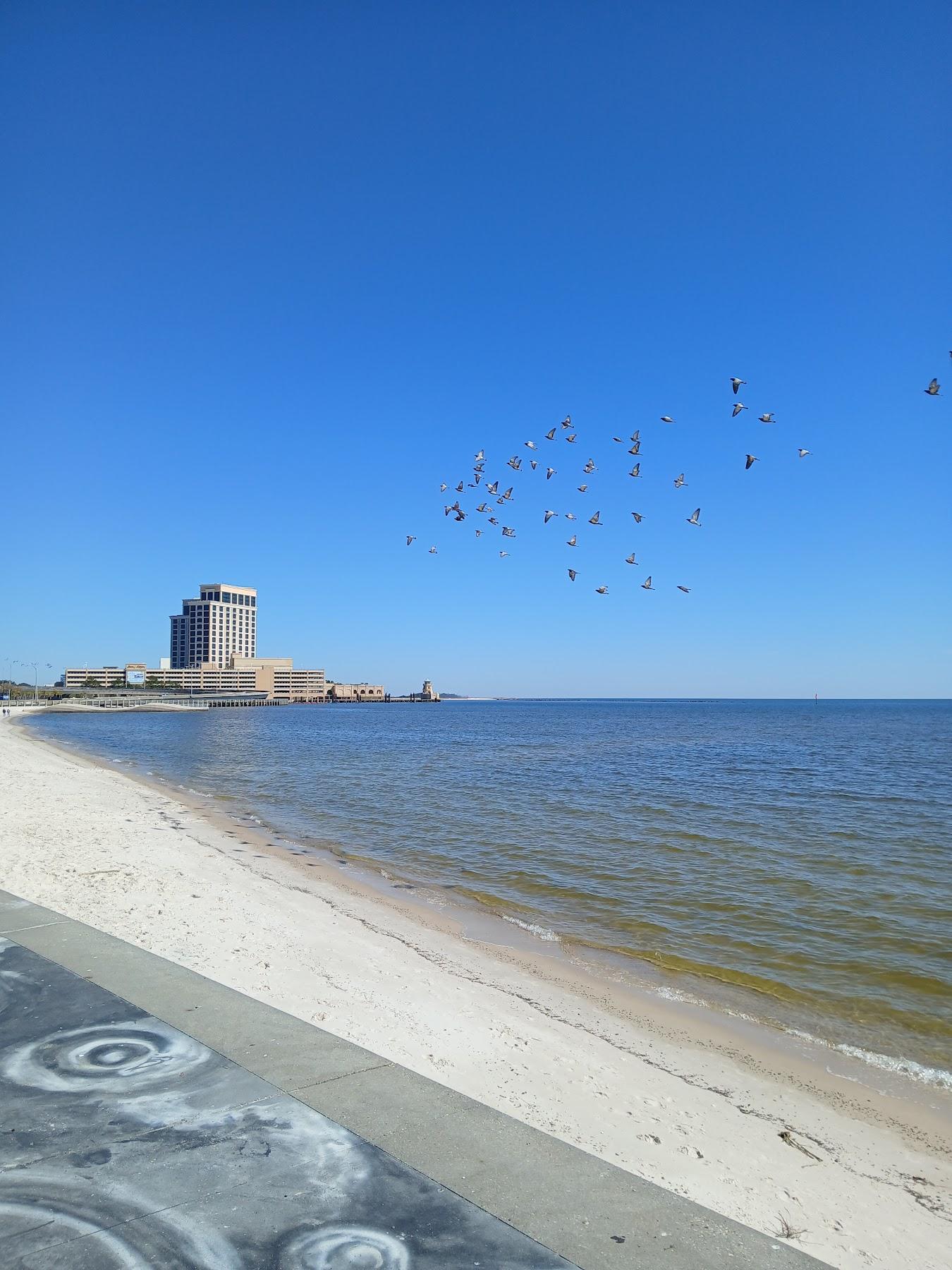Sandee Biloxi Porter Avenue Beach