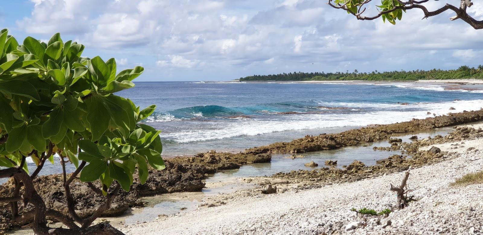 Sandee Moana Breeze Eco Lodge Photo