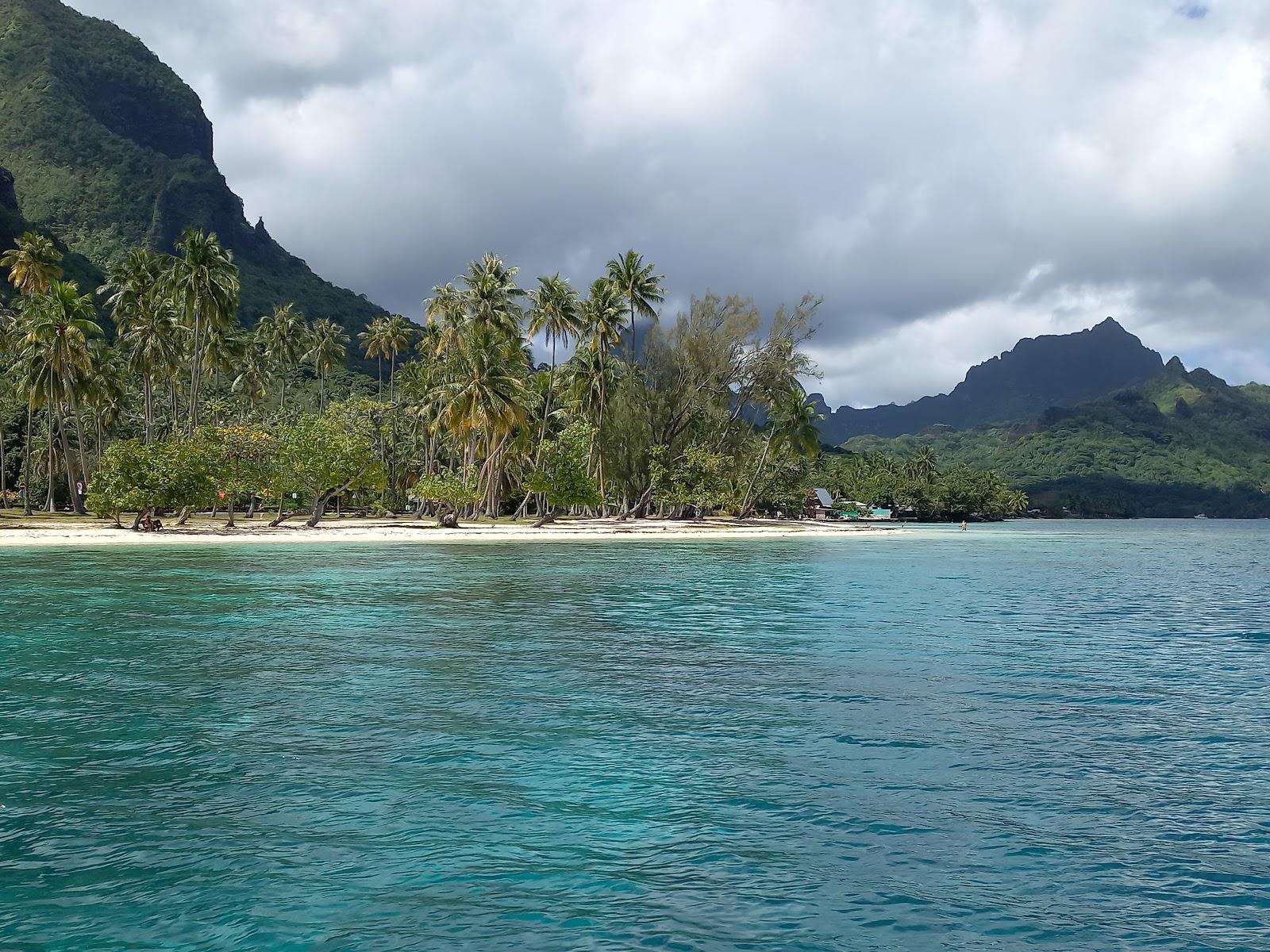 Sandee Moorea Tiki Tour