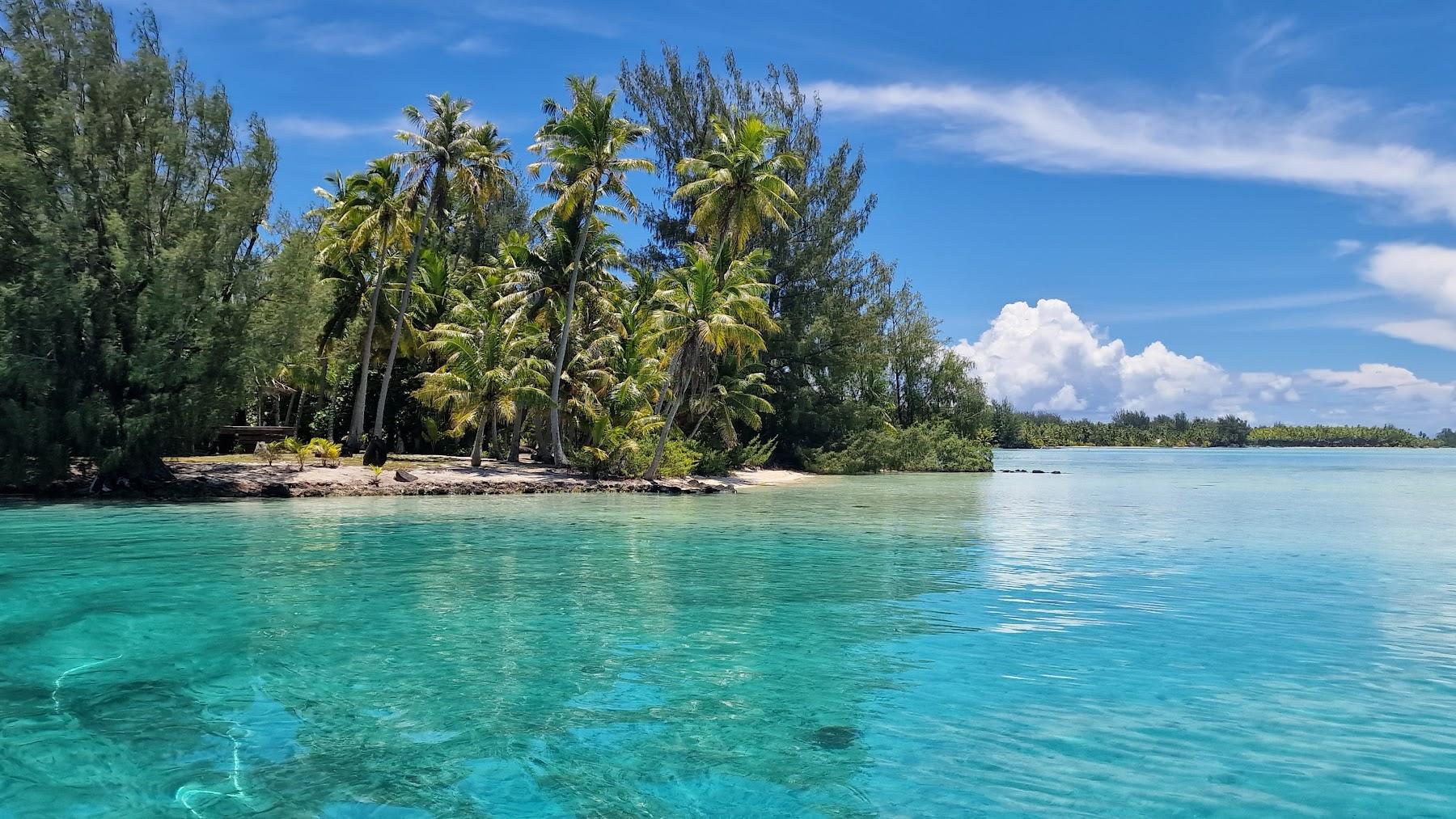 Sandee Conrad Bora Bora Nui Beach Photo