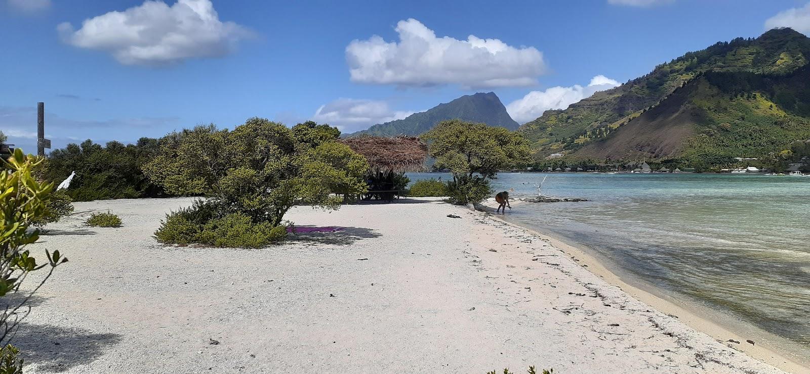 Sandee - Captain Taina Island Picnic