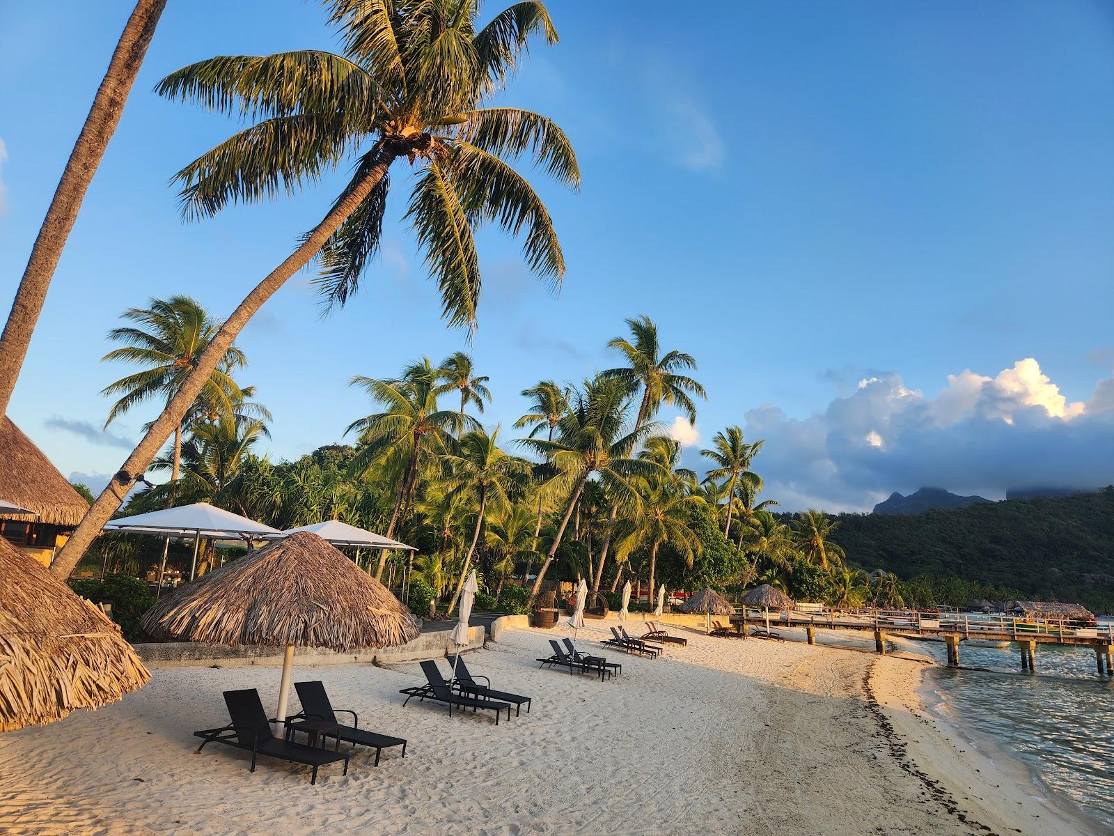 Sandee - Intercontinental Le Moana Bora Bora