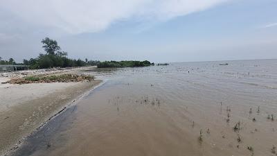 Sandee - Batu Laut Beach