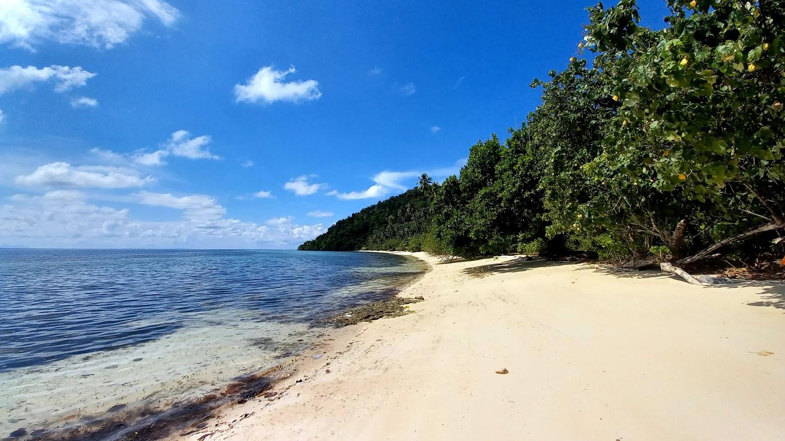 Sandee Pantai Pongian