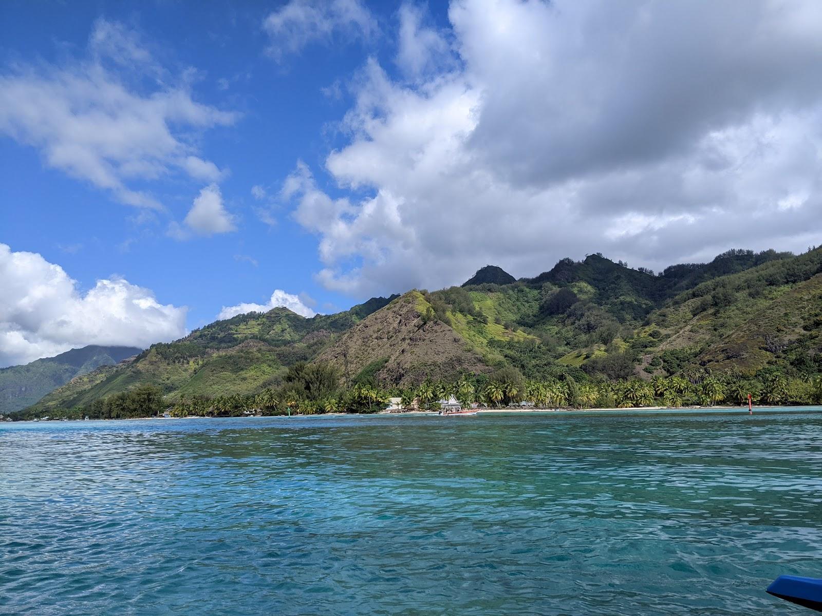 Sandee Coco Beach Moorea Photo