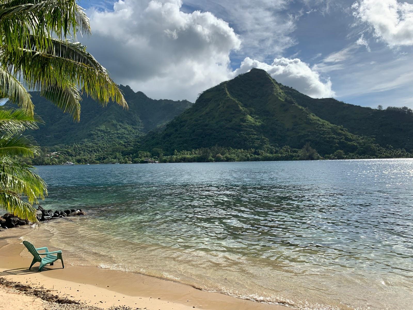 Sandee Robinson's Cove Villas