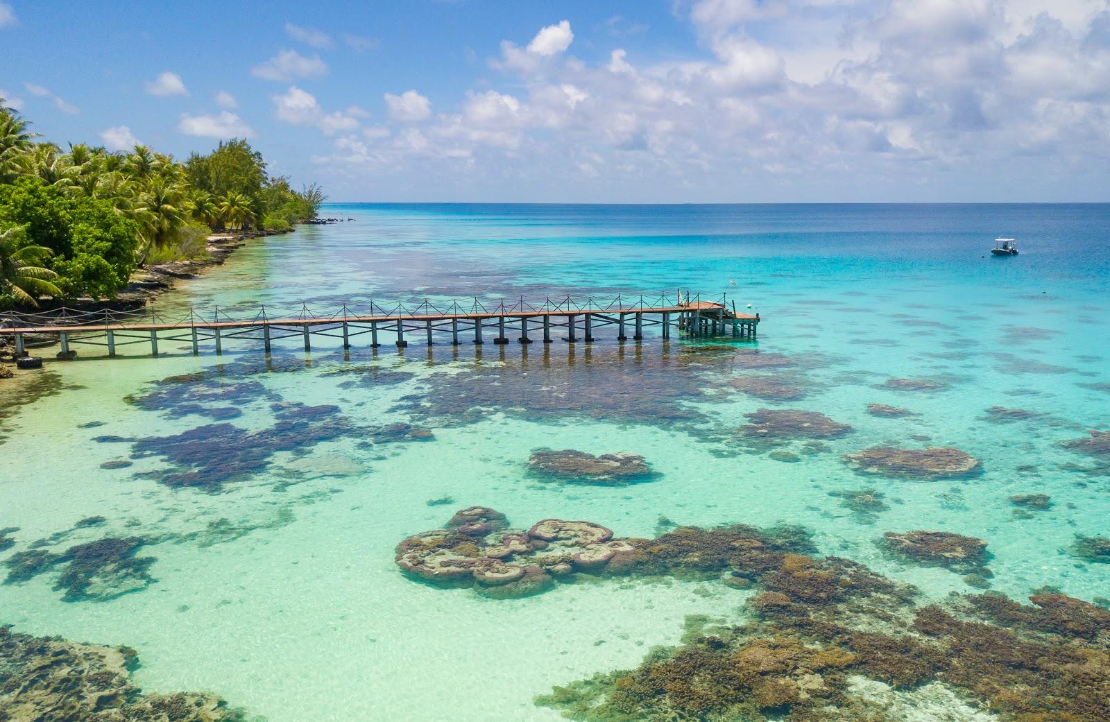 Sandee Dive Spirit Fakarava Photo