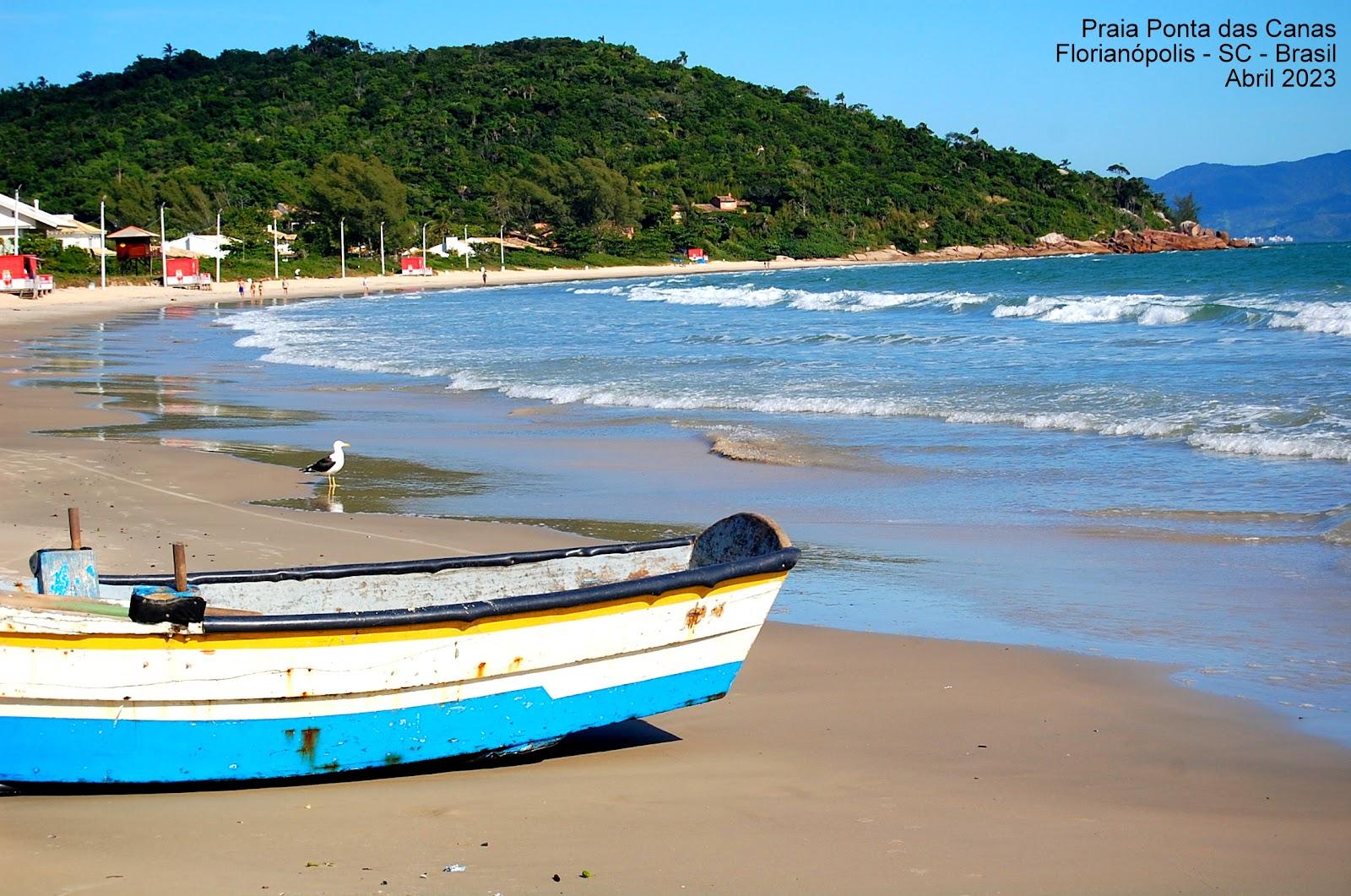 Sandee Praia Ponta Das Canas