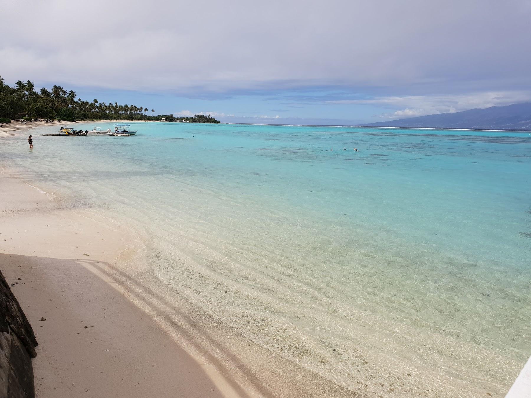 Sandee Intercontinental Le Moana Bora Bora Photo