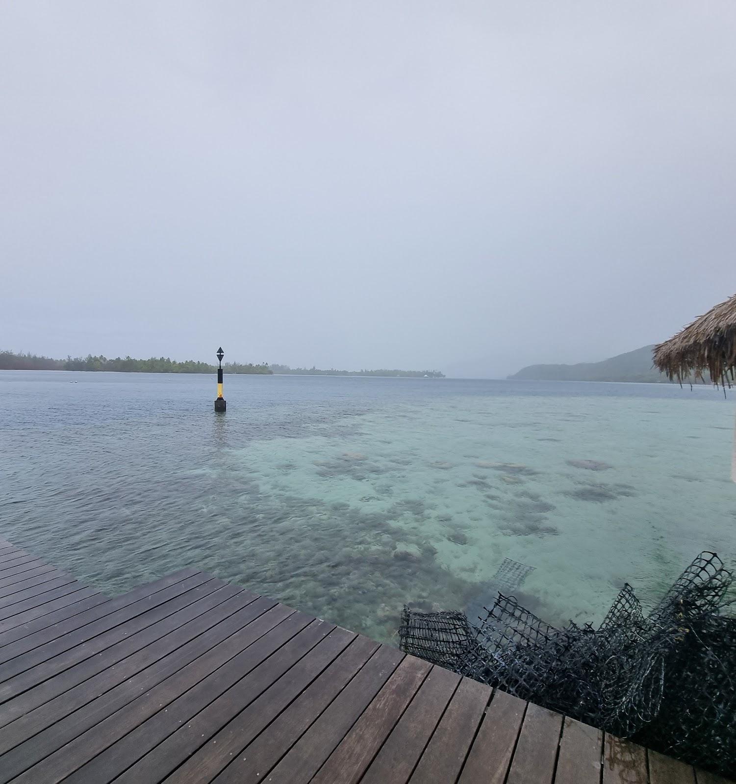 Sandee Huahine Pearl Farm