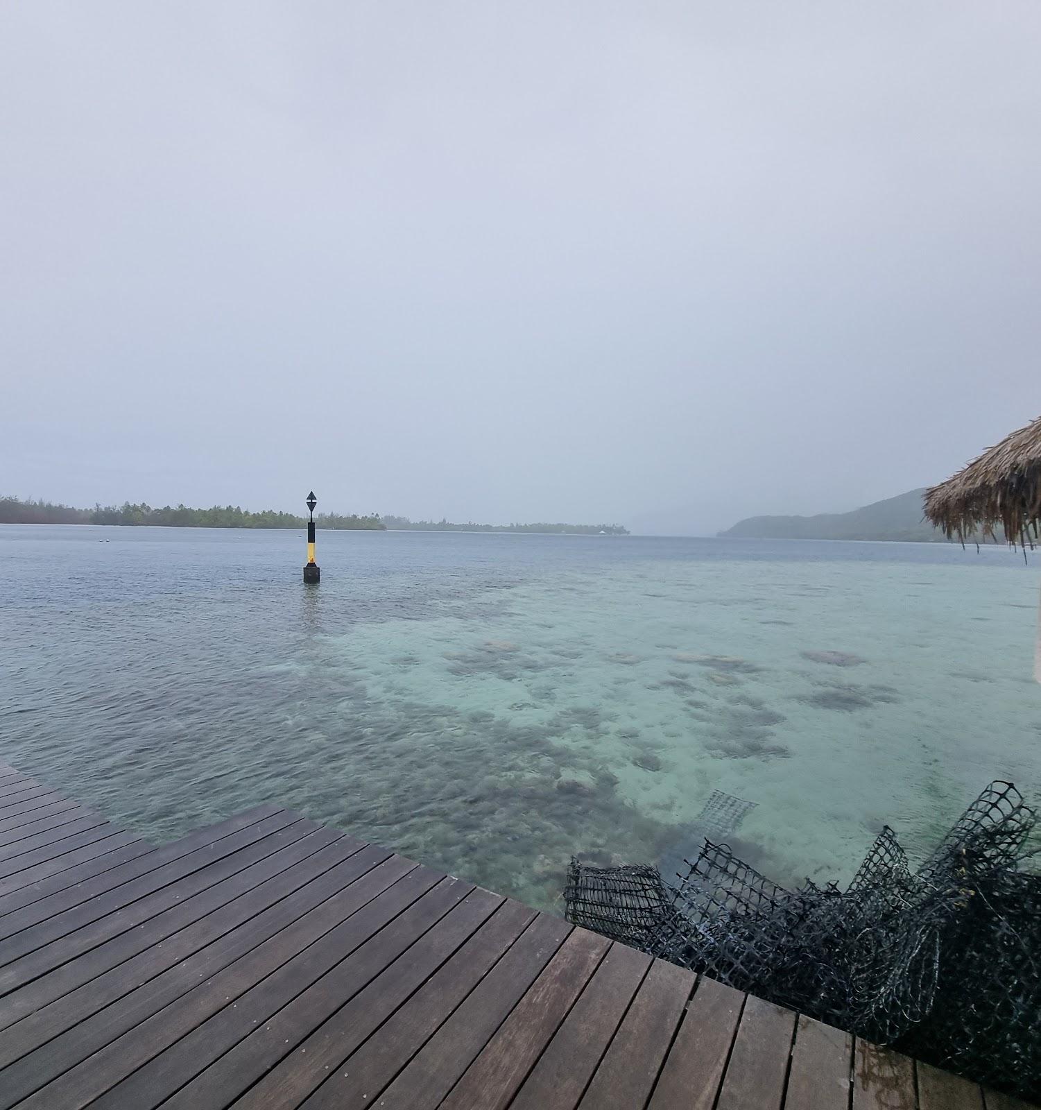 Sandee Huahine Pearl Farm Photo