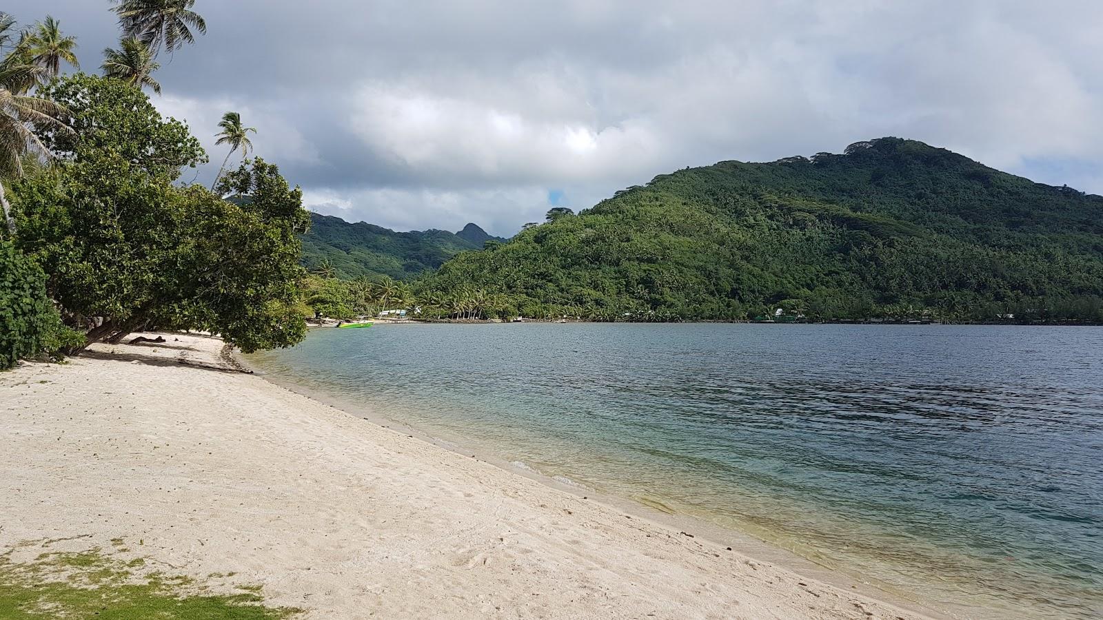 Sandee Moana Lodge