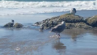 Sandee - Lincoln City Beach Access