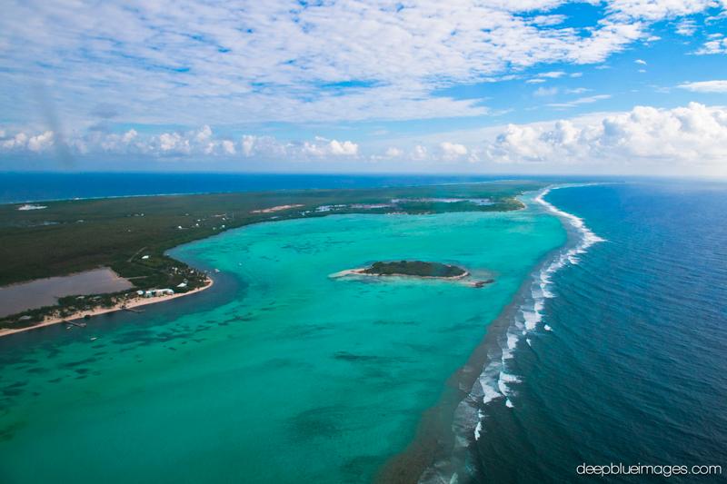 Sandee Owen Island