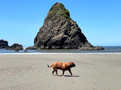 Sandee - Samuel H. Boardman State Scenic Corridor