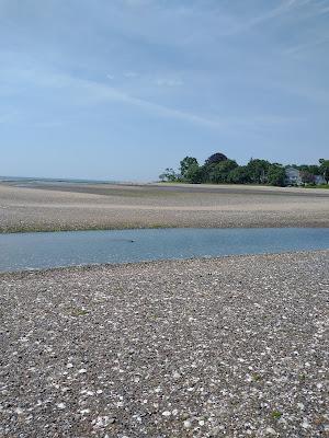 Sandee - Oyster River Beach