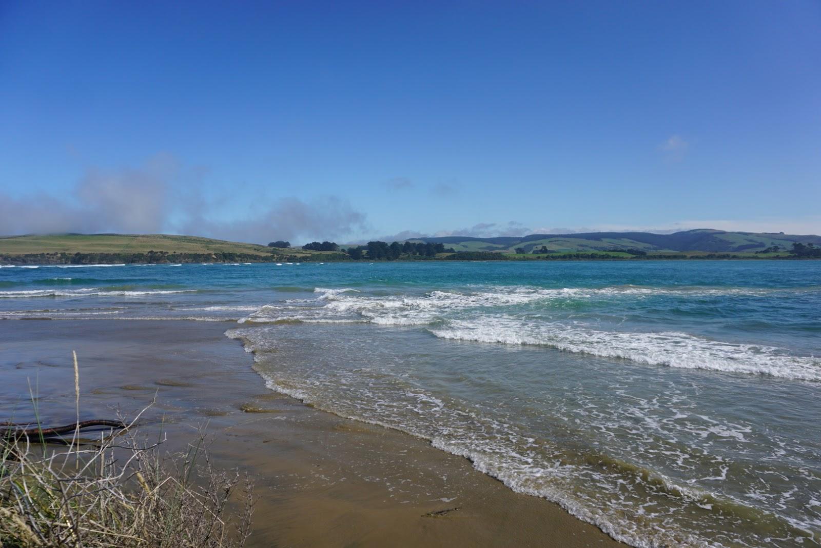 Sandee Surat Bay Beach