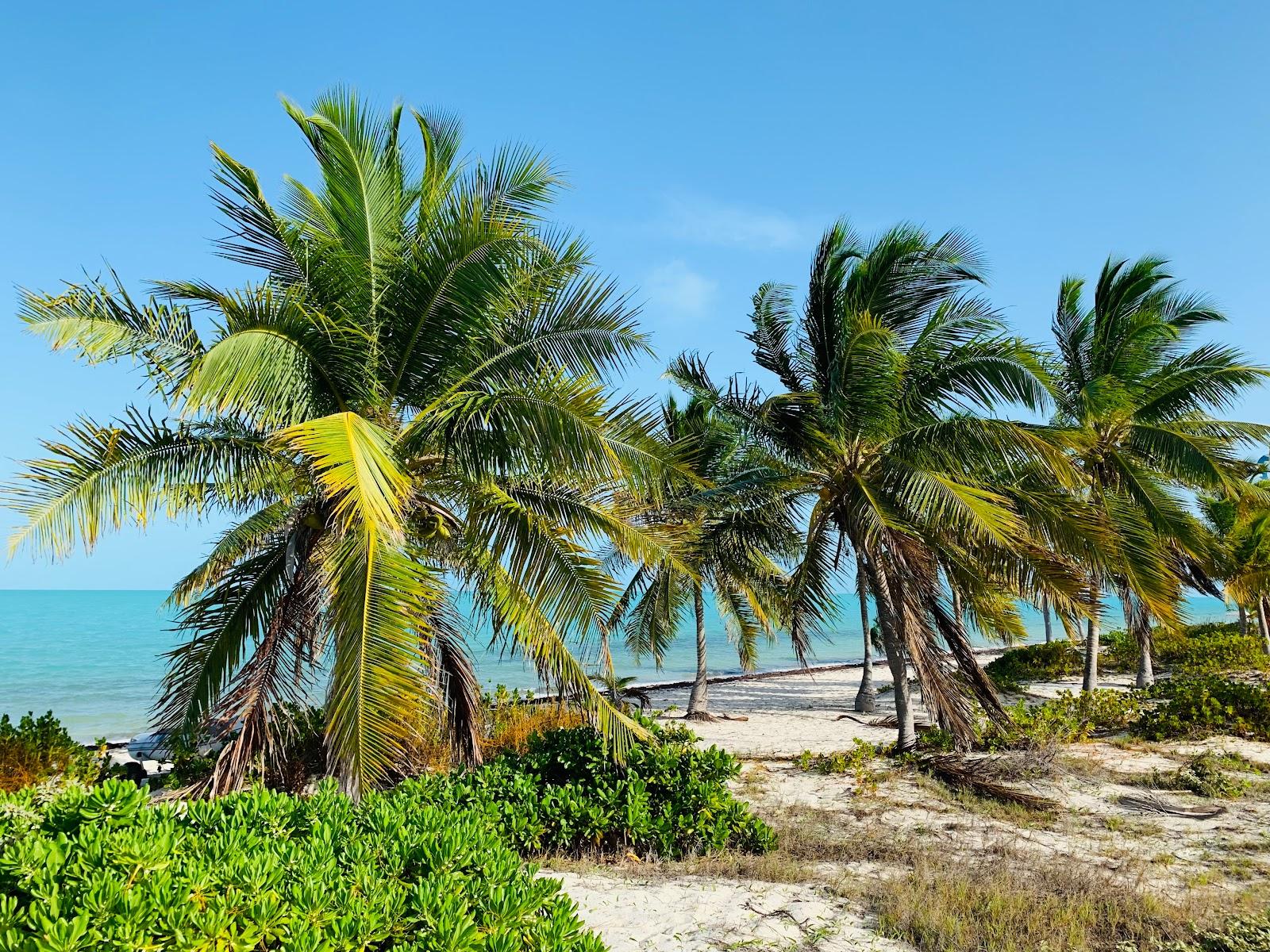 Sandee - Long Bay Beach