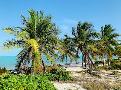 Sandee - Long Bay Beach