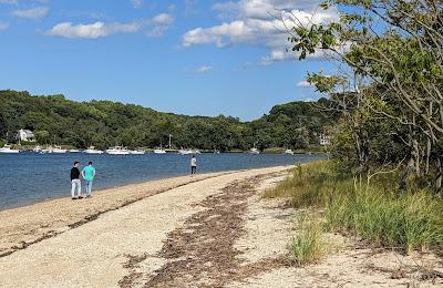 Sandee - Cold Spring Beach