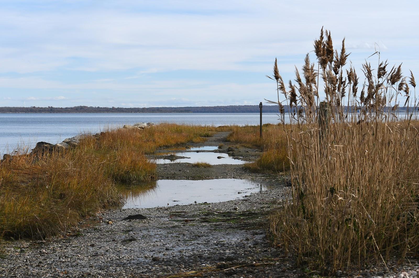 Sandee - Bradford Ave Waterfront Public Access Point