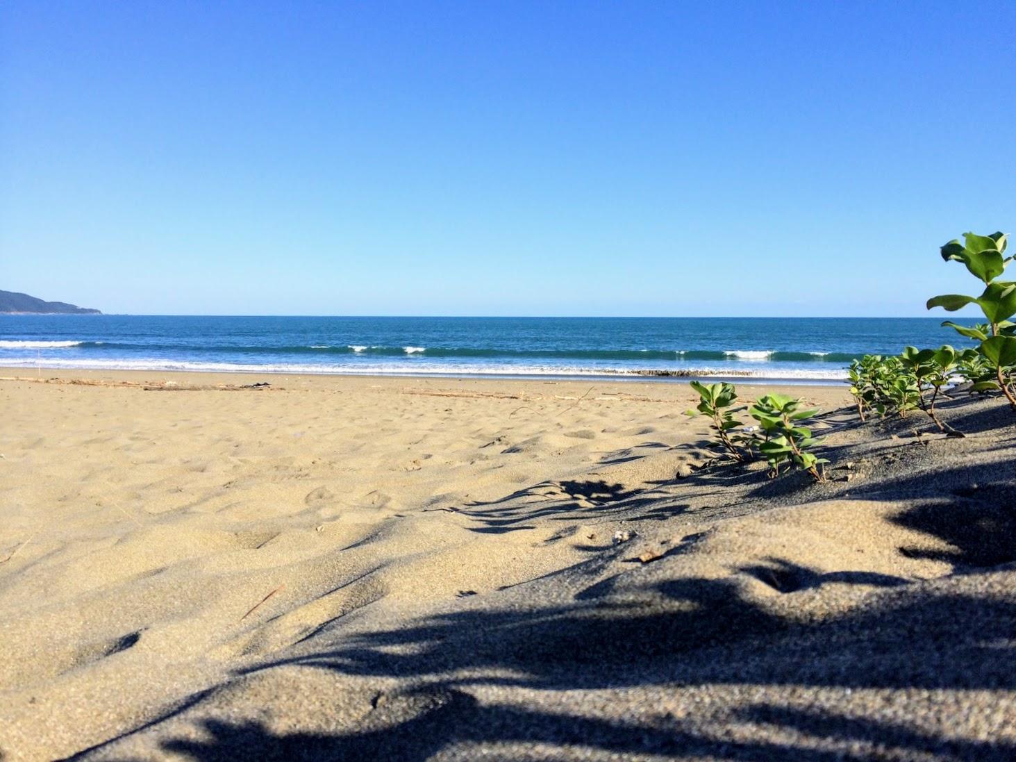 Sandee Irino Beach