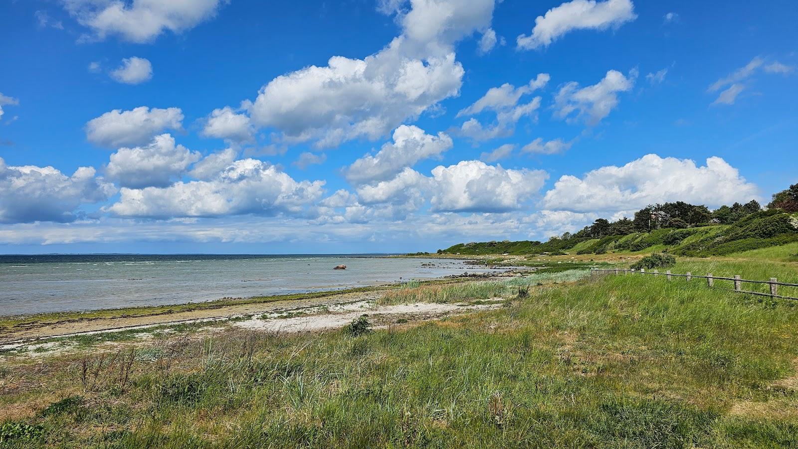 Sandee Nørrestange Strand, Orø