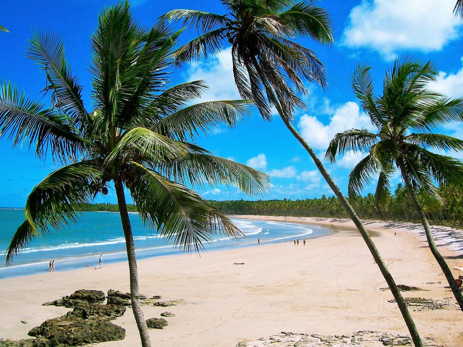 Sandee Boca Da Barra - Cairu