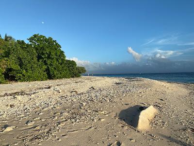 Sandee - Tikling Island Beach