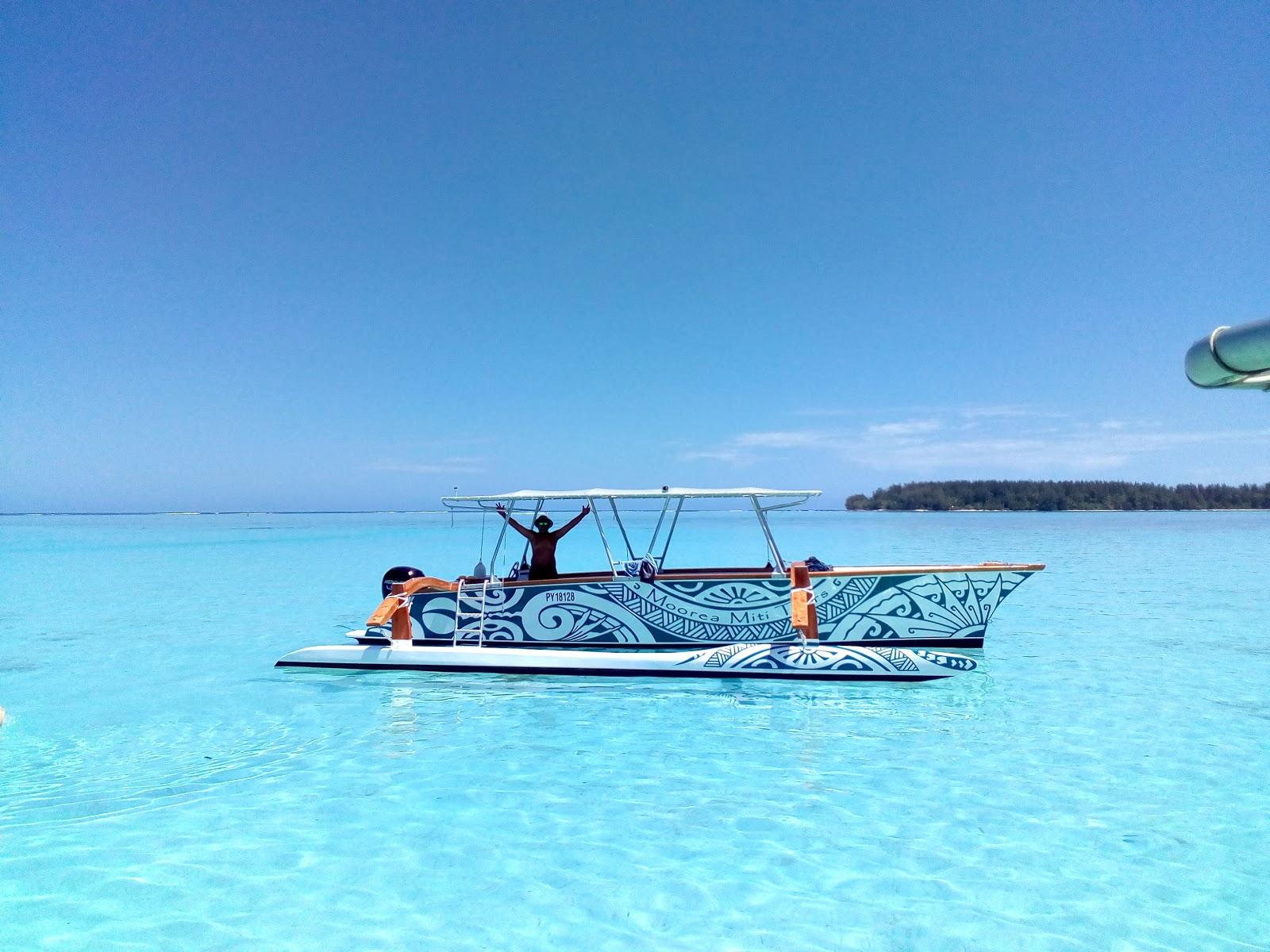 Sandee Moorea Miti Tours - Turtles Watching