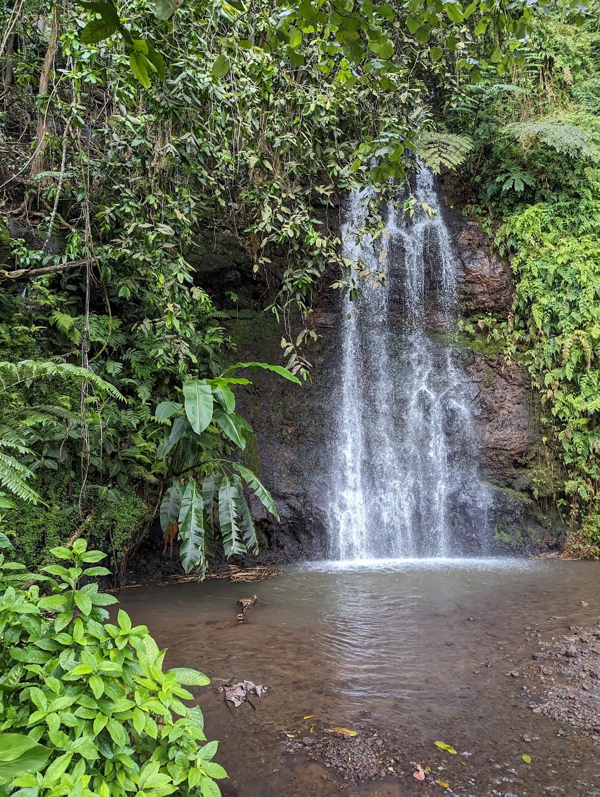 Sandee Water Gardens Vaipahi Photo