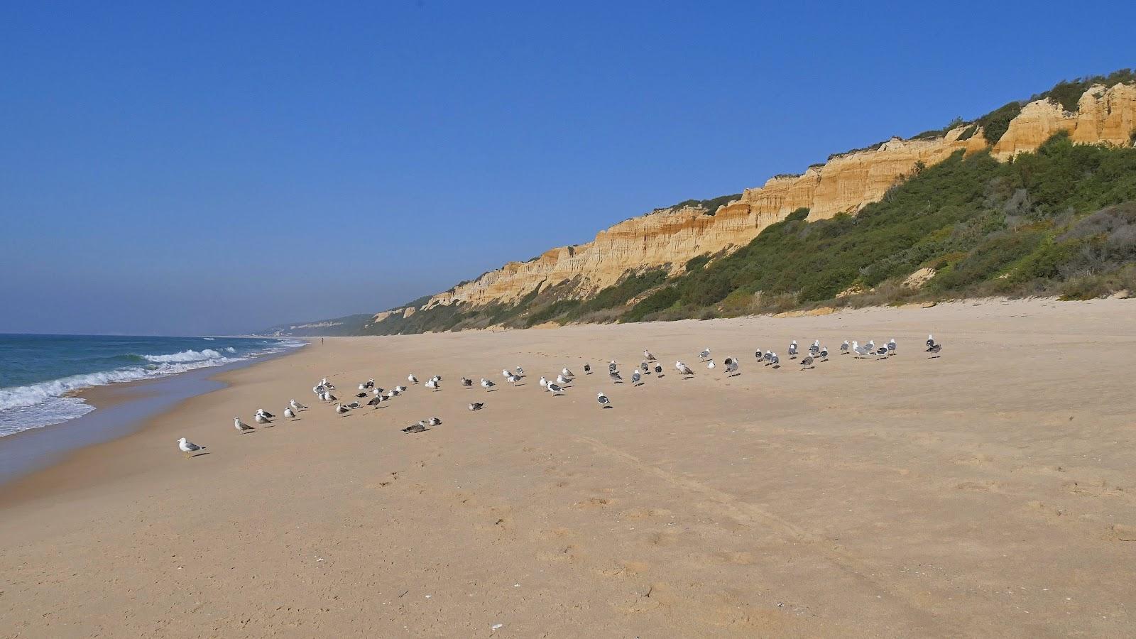 Sandee - Praia Dos Medos De Albufeira