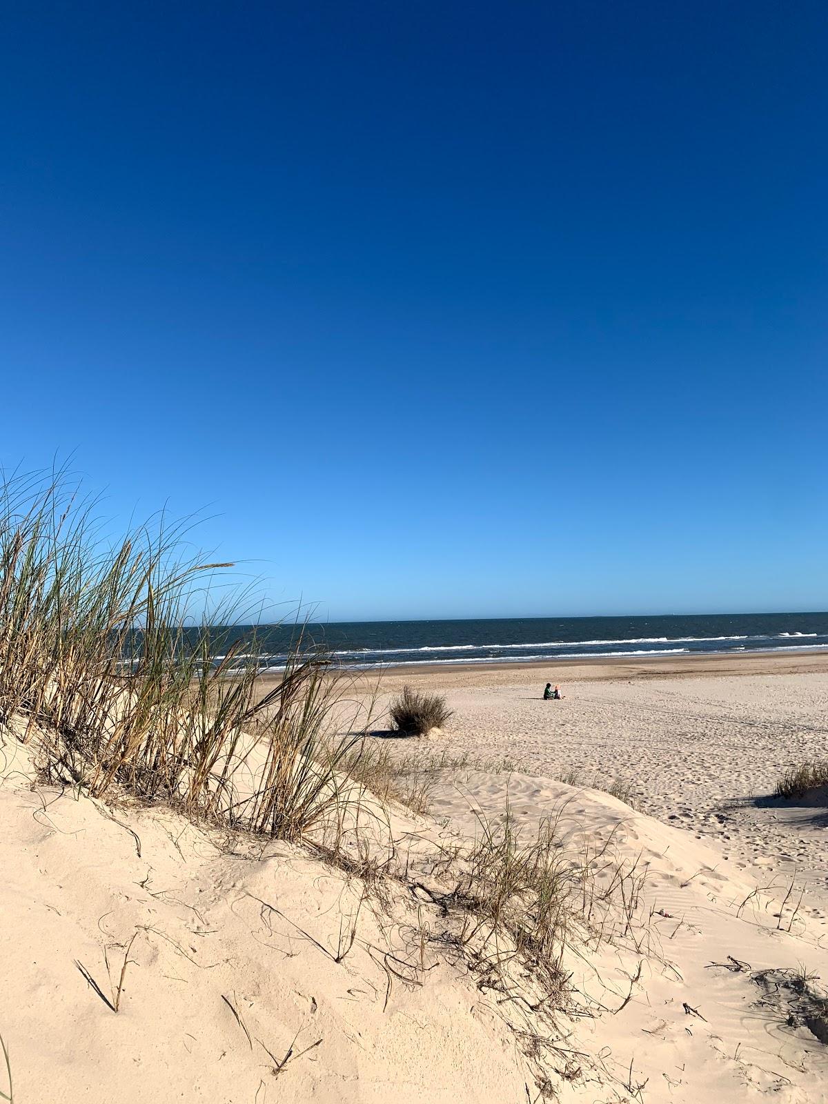 Sandee Medanos De Solymar Beach