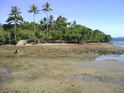 Sandee - Mactang Beach