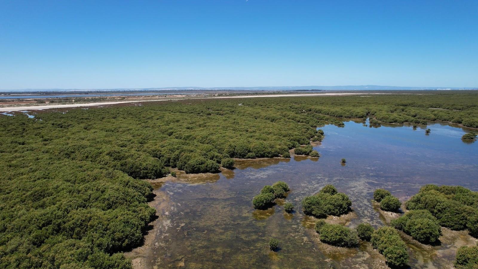 Sandee Port Gawler Beach Photo