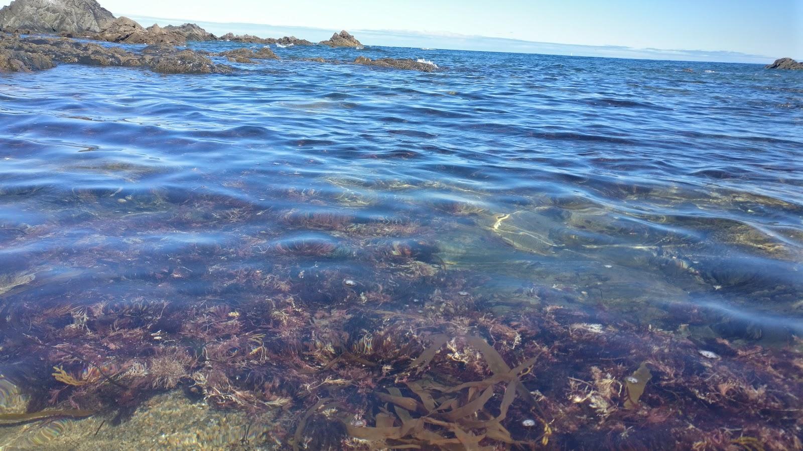 Sandee - Playa De Los Campizales