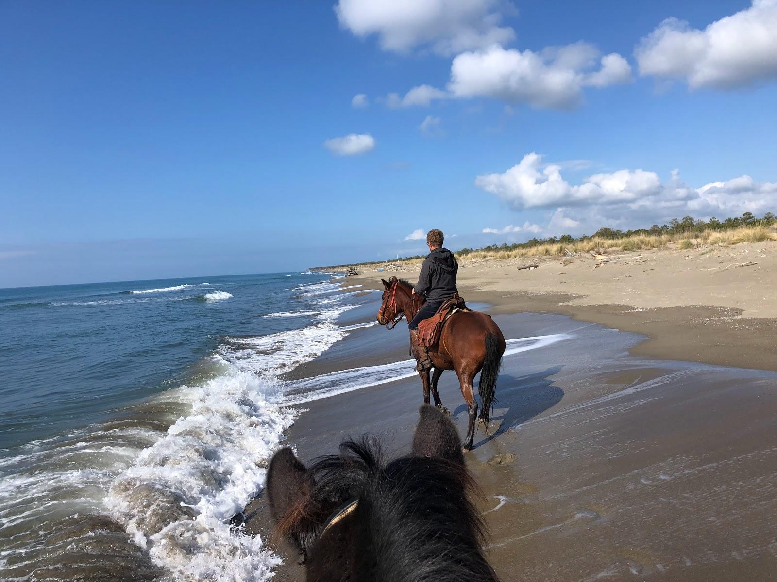 Sandee Spiaggia Di Collelungo Photo