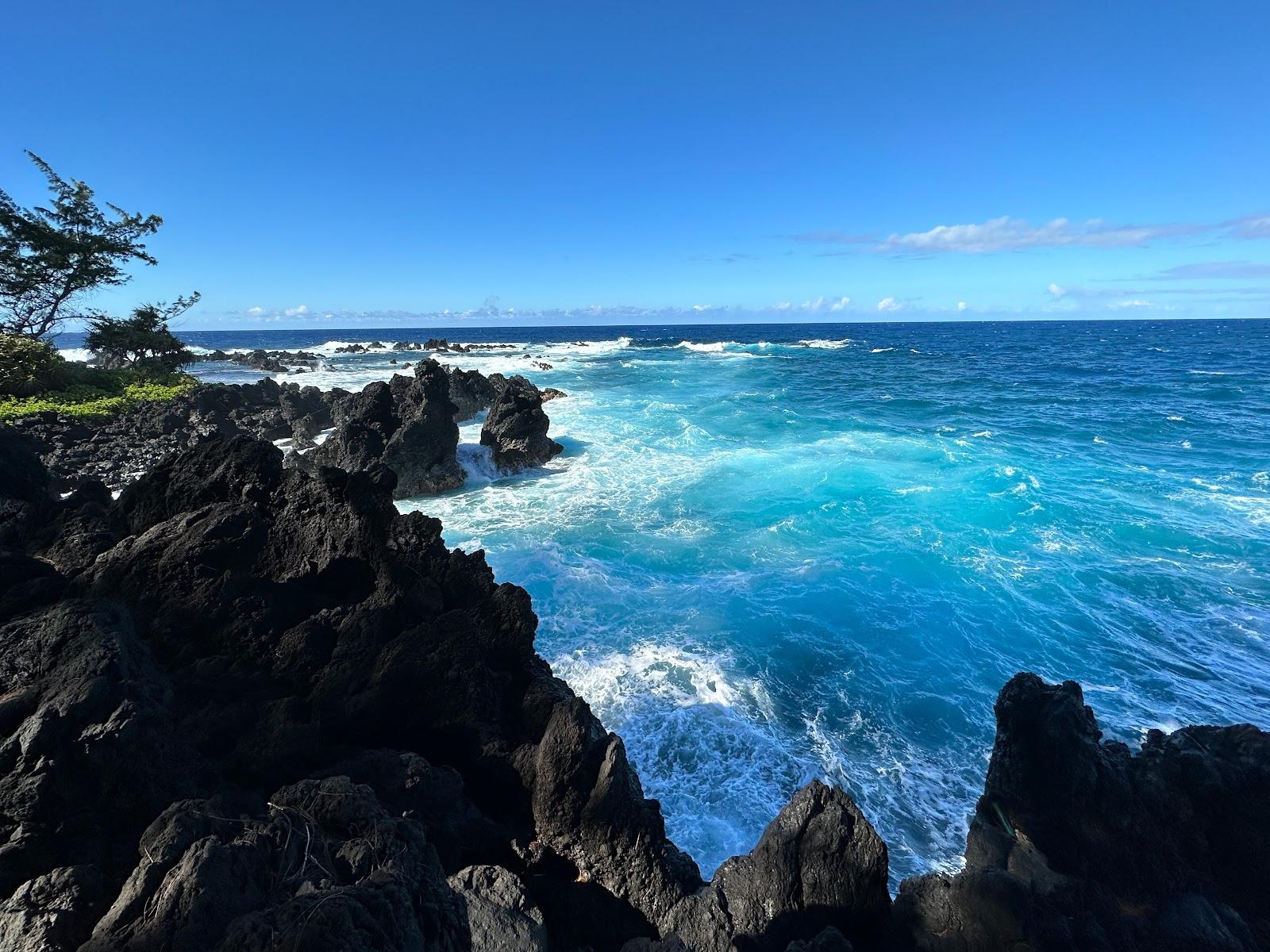 Sandee - Laupahoehoe Beach County Park