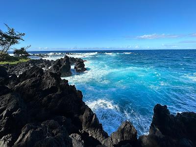 Sandee - Laupahoehoe Beach County Park