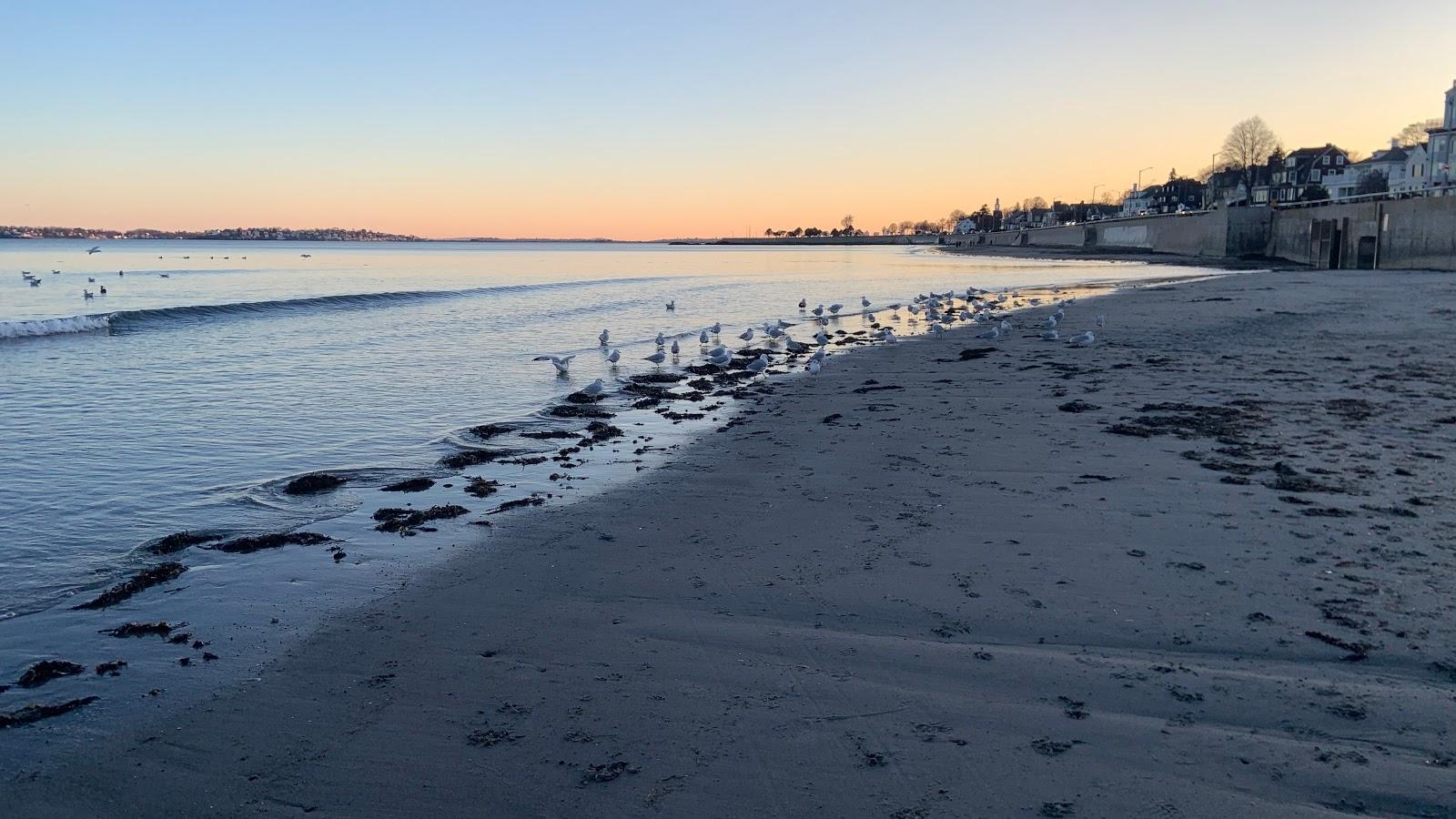 Sandee King's Beach / Lynn Beach Photo