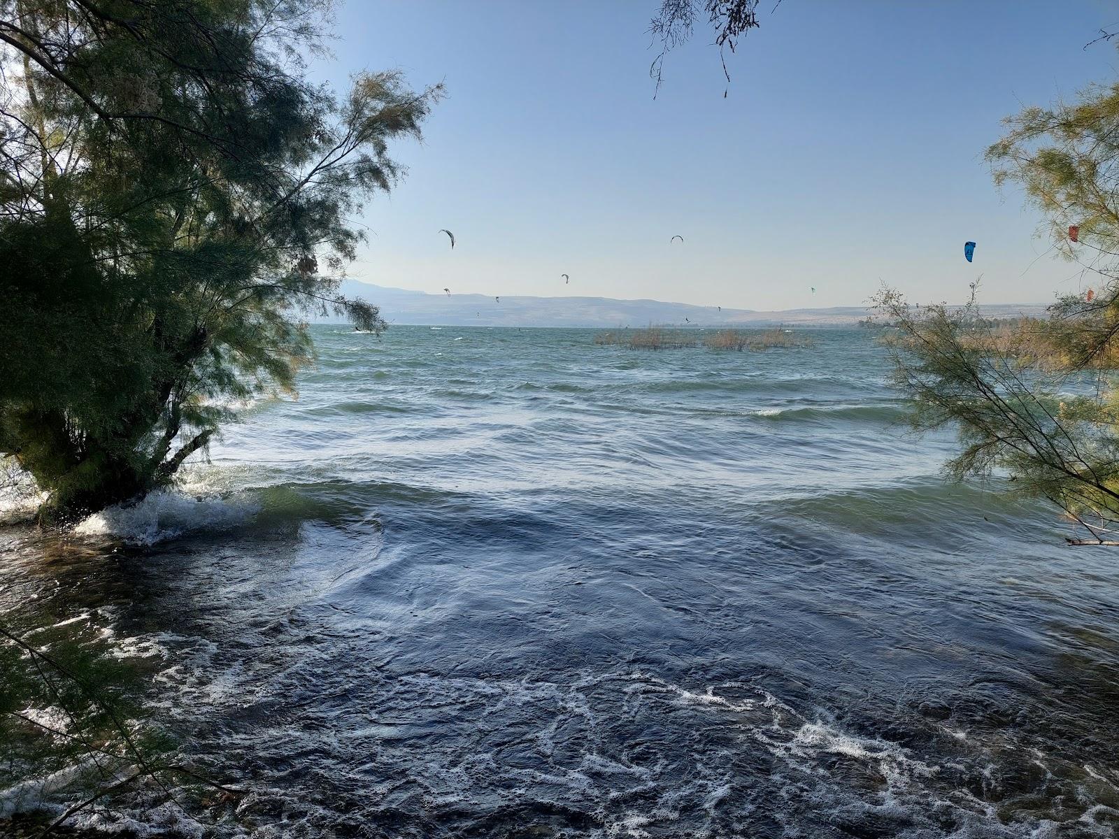 Sandee Ashalim Beach